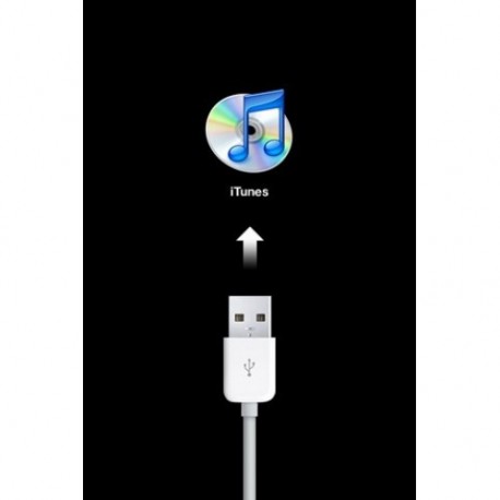 iPhone 3gs Itunes Repair